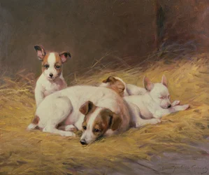 Un terrier avec trois chiots